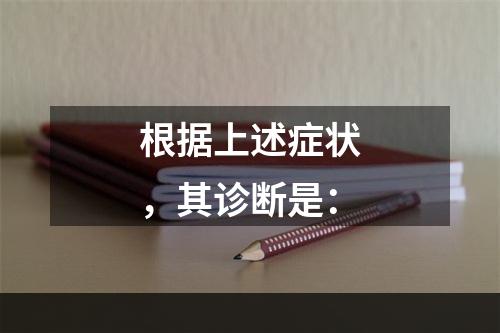 根据上述症状，其诊断是：