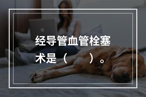 经导管血管栓塞术是（　　）。