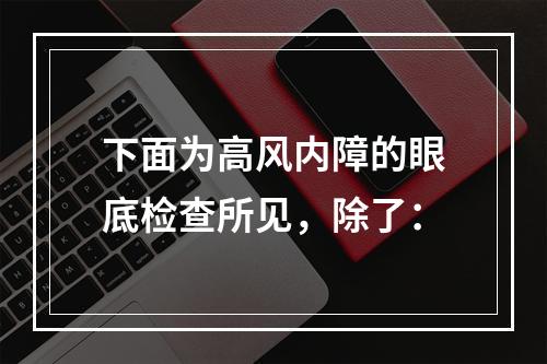 下面为高风内障的眼底检查所见，除了：