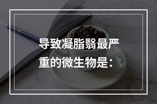 导致凝脂翳最严重的微生物是：