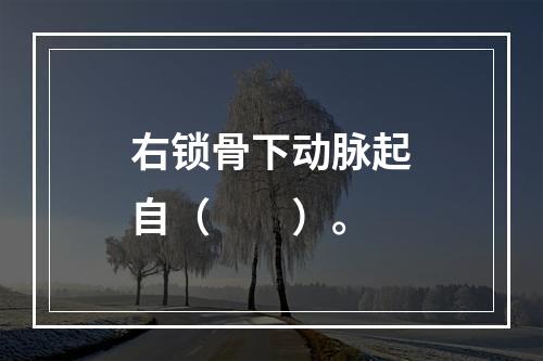 右锁骨下动脉起自（　　）。