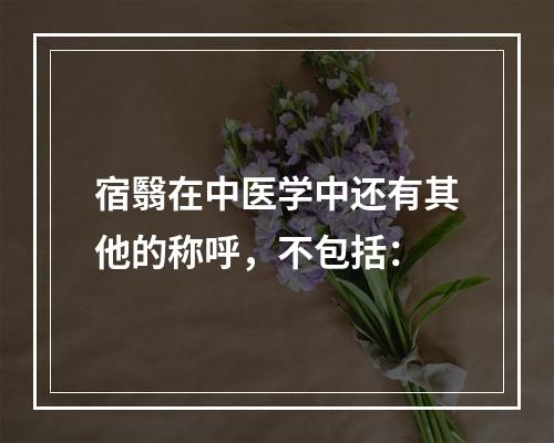 宿翳在中医学中还有其他的称呼，不包括：