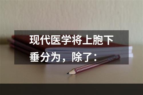 现代医学将上胞下垂分为，除了：