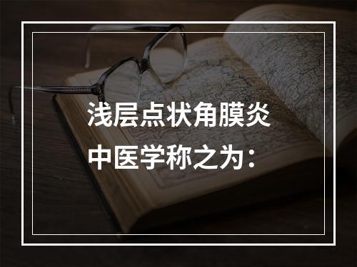 浅层点状角膜炎中医学称之为：