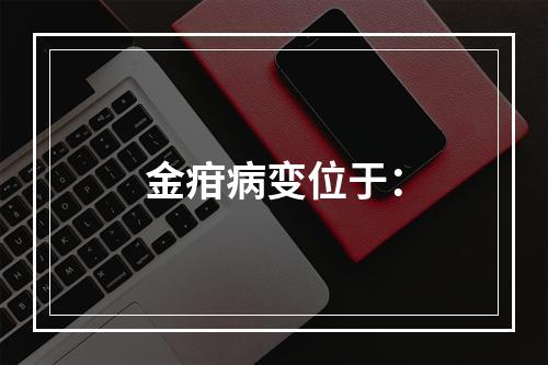 金疳病变位于：