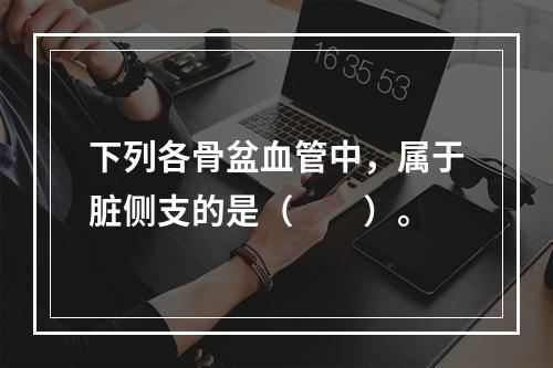 下列各骨盆血管中，属于脏侧支的是（　　）。