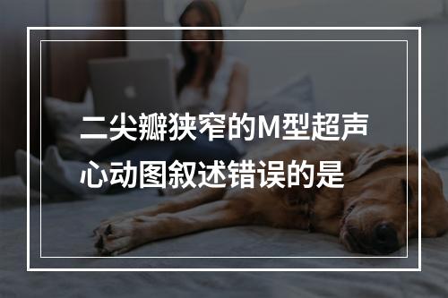 二尖瓣狭窄的M型超声心动图叙述错误的是