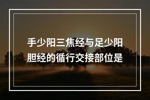 手少阳三焦经与足少阳胆经的循行交接部位是