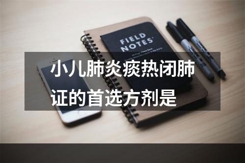 小儿肺炎痰热闭肺证的首选方剂是