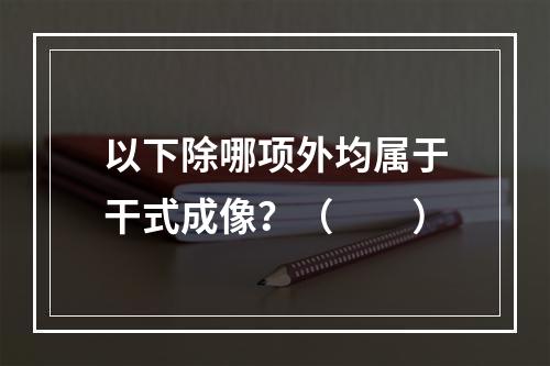 以下除哪项外均属于干式成像？（　　）