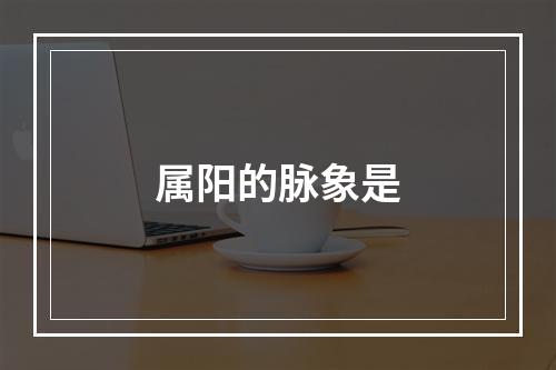 属阳的脉象是