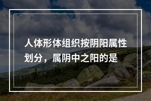 人体形体组织按阴阳属性划分，属阴中之阳的是