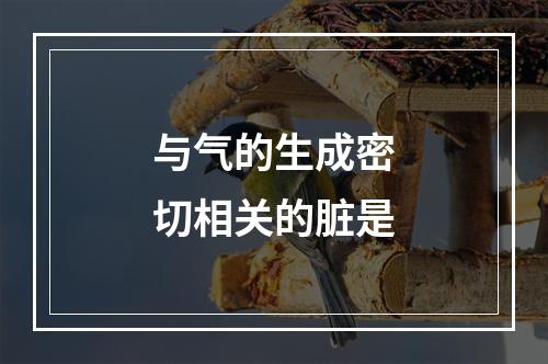 与气的生成密切相关的脏是