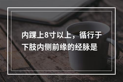 内踝上8寸以上，循行于下肢内侧前缘的经脉是