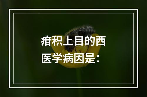 疳积上目的西医学病因是：