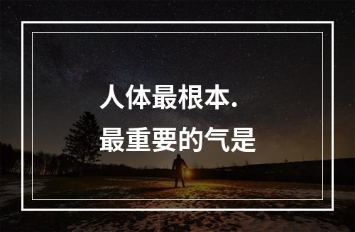 人体最根本.最重要的气是