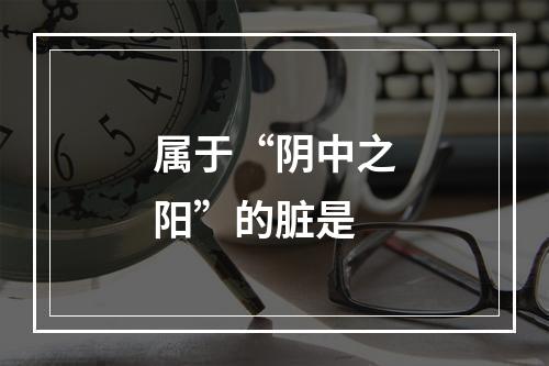 属于“阴中之阳”的脏是