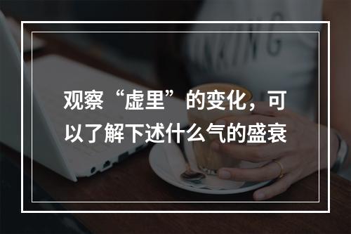 观察“虚里”的变化，可以了解下述什么气的盛衰