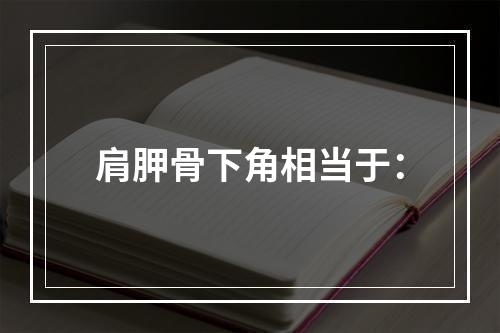 肩胛骨下角相当于：