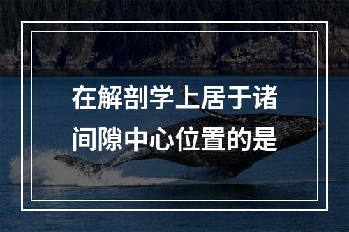 在解剖学上居于诸间隙中心位置的是