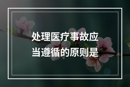 处理医疗事故应当遵循的原则是