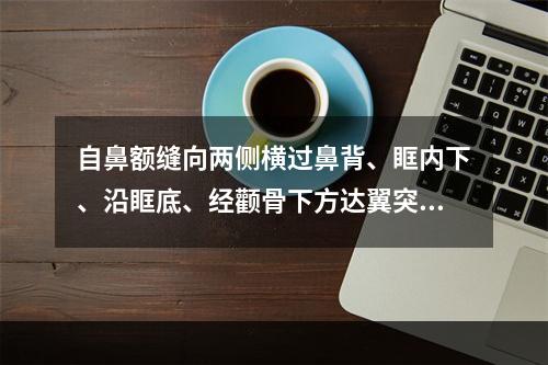 自鼻额缝向两侧横过鼻背、眶内下、沿眶底、经颧骨下方达翼突的骨