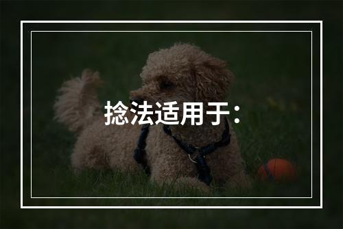 捻法适用于：