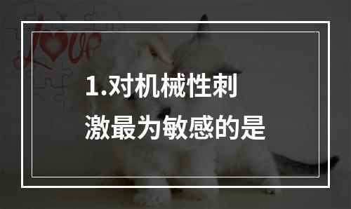 1.对机械性刺激最为敏感的是