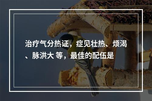 治疗气分热证，症见壮热、烦渴、脉洪大 等，最佳的配伍是