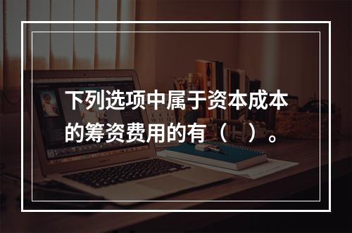 下列选项中属于资本成本的筹资费用的有（　）。