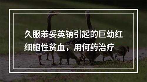 久服苯妥英钠引起的巨幼红细胞性贫血，用何药治疗