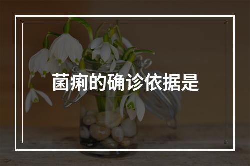 菌痢的确诊依据是