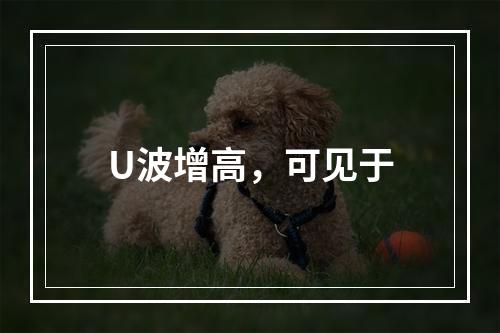 U波增高，可见于