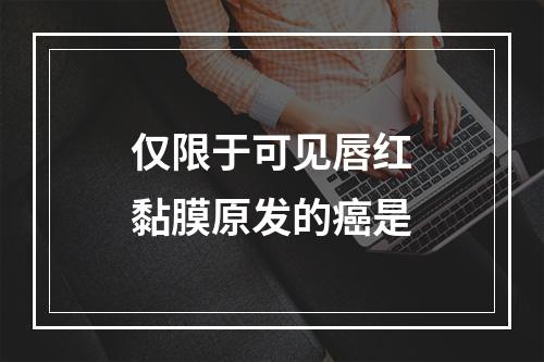 仅限于可见唇红黏膜原发的癌是