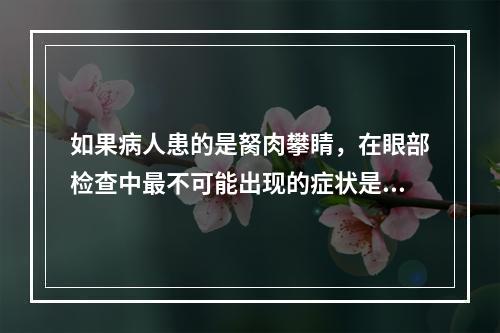 如果病人患的是胬肉攀睛，在眼部检查中最不可能出现的症状是：