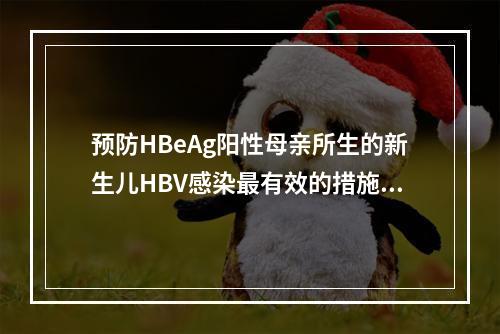 预防HBeAg阳性母亲所生的新生儿HBV感染最有效的措施是