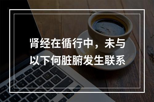 肾经在循行中，未与以下何脏腑发生联系