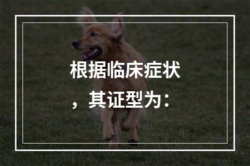 根据临床症状，其证型为：