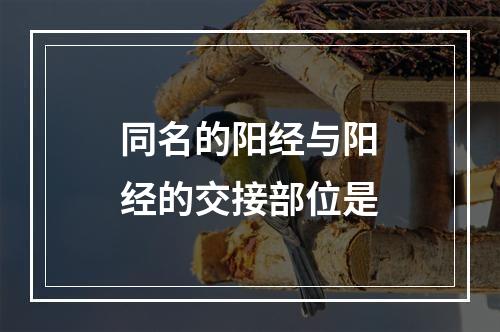 同名的阳经与阳经的交接部位是