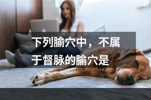 下列腧穴中，不属于督脉的腧穴是