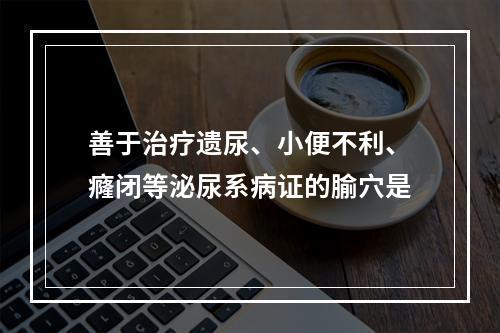 善于治疗遗尿、小便不利、癃闭等泌尿系病证的腧穴是