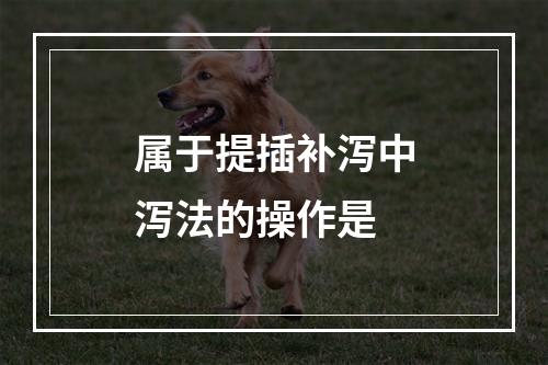 属于提插补泻中泻法的操作是