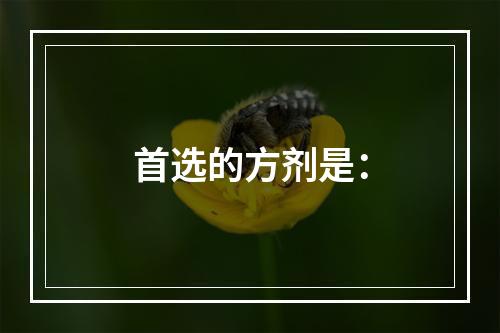 首选的方剂是：