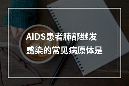 AIDS患者肺部继发感染的常见病原体是