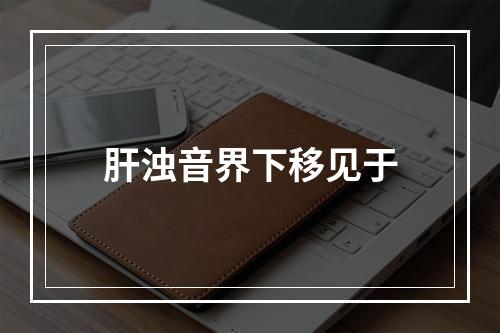 肝浊音界下移见于