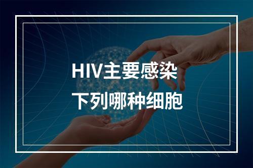 HIV主要感染下列哪种细胞