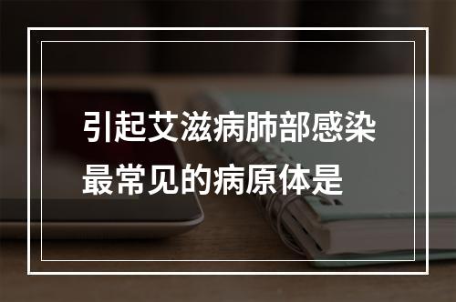 引起艾滋病肺部感染最常见的病原体是