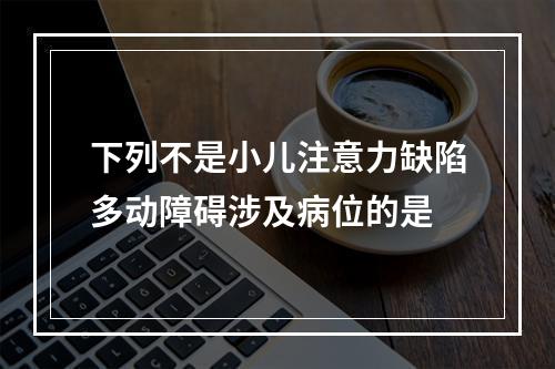 下列不是小儿注意力缺陷多动障碍涉及病位的是