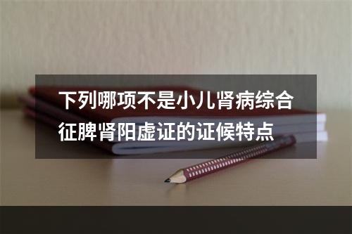 下列哪项不是小儿肾病综合征脾肾阳虚证的证候特点