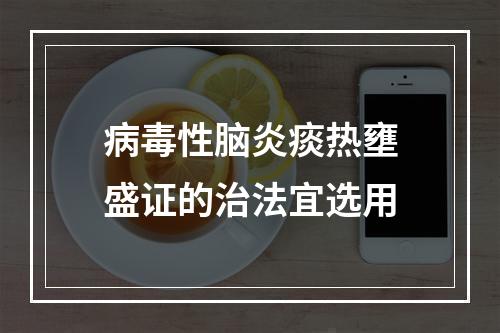 病毒性脑炎痰热壅盛证的治法宜选用